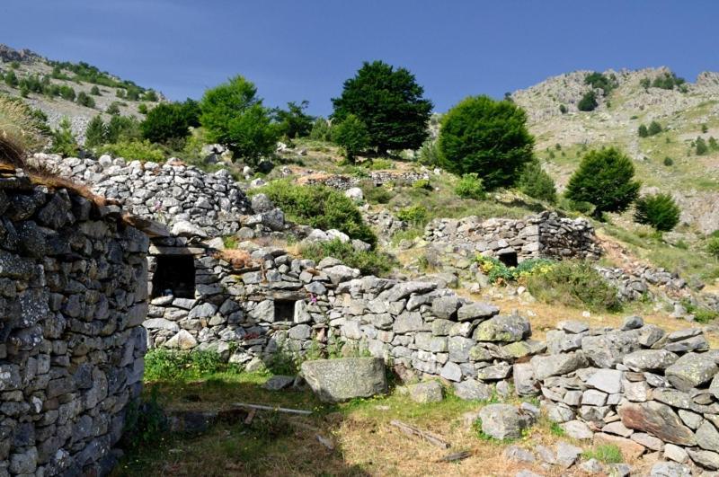 A.casetta